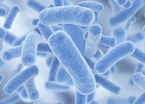 1720746465629973.png 1.png